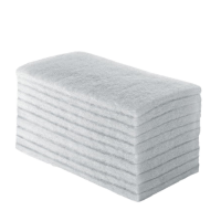 Imagem do produto Fibra de Limpeza Leve Branca